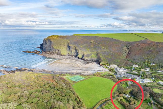 Thumbnail Cottage for sale in Crackington Haven, Bude