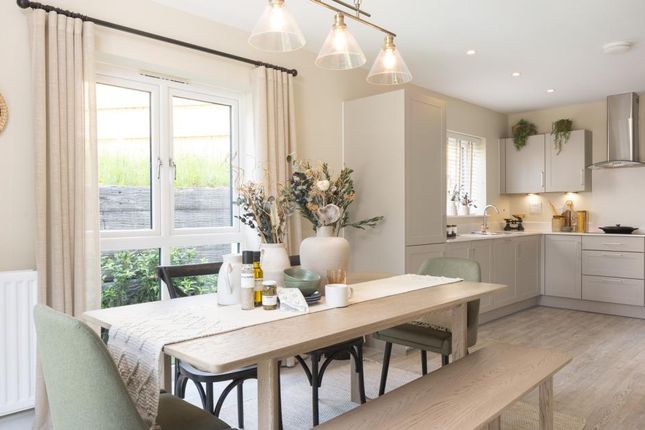 Dandara - Zoopla -