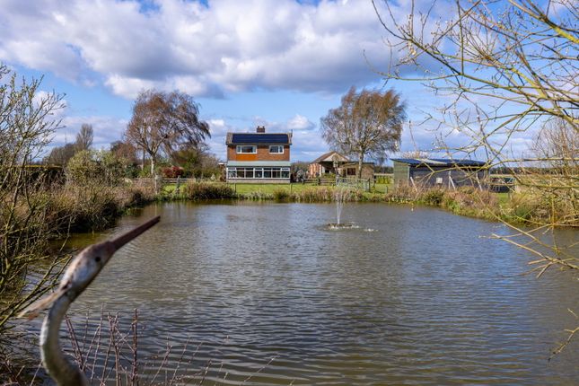 Salhouse, Selby photo 4