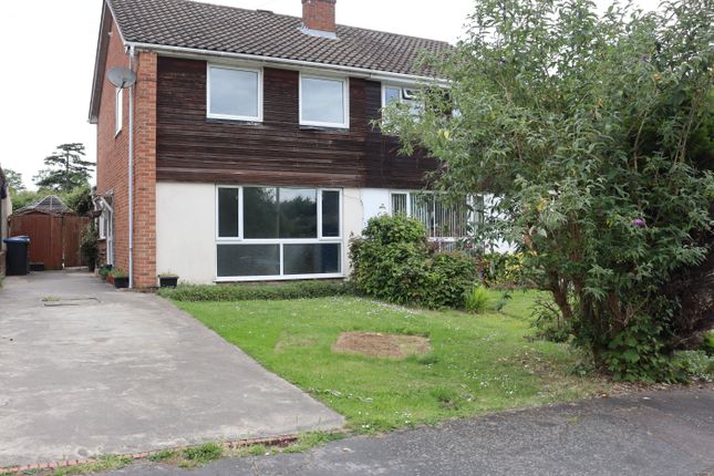 Thumbnail Semi-detached house to rent in Barton Close, Addlestone