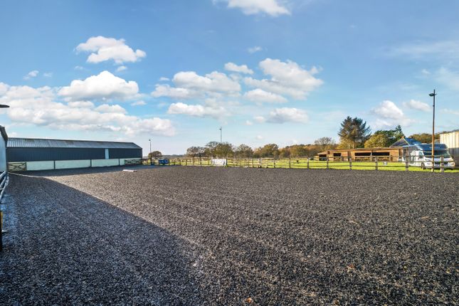 BRACKENSIDE STABLES, Kirkby Lane, Kirkby-on-Bain photo 3