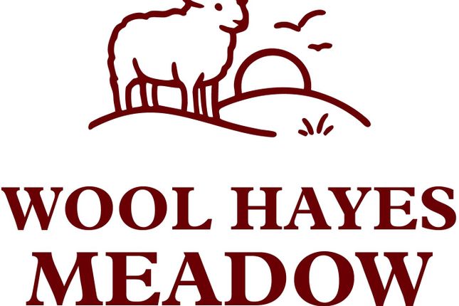 Plot 10, Wool Hayes Meadow,, Plot 10, The Elm, Wool Hayes Meadow, Ilminster photo 2