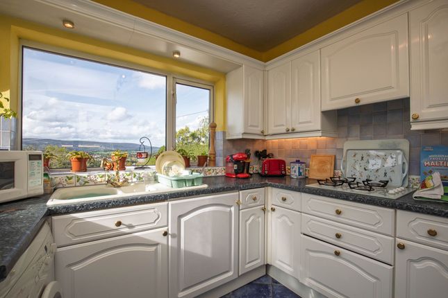 27 Allt-Yr-Yn Crescent, Newport photo 3