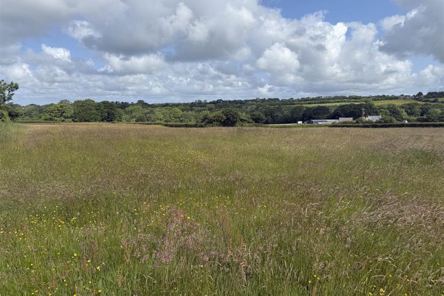 Land At Castle Meadow 2.Jpg