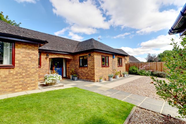 Detached bungalow for sale in Moulton Road, Pitsford, Northampton, Northamptonshire
