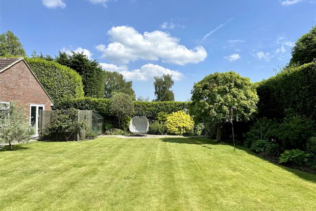 Detached house for sale in Links Lane, Rowland's Castle, Hampshire
