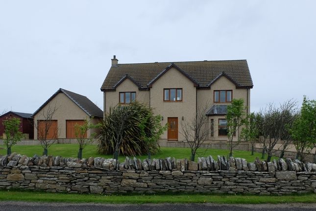 Thumbnail Detached house for sale in Dunnet, Thurso