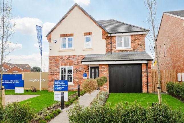 Thumbnail Detached house for sale in "The Skywood" at Choppington Road, Bedlington