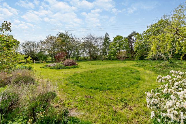 Detached bungalow for sale in Mill Lane, Lower Somersham, Ipswich