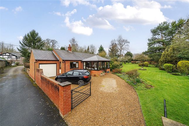 Thumbnail Bungalow for sale in Broxwood, Leominster, Herefordshire