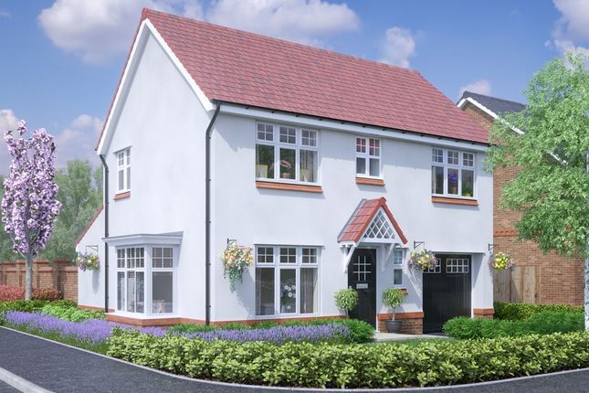 Thumbnail Detached house for sale in "The New Ashbourne" at Roman Road, Blackburn