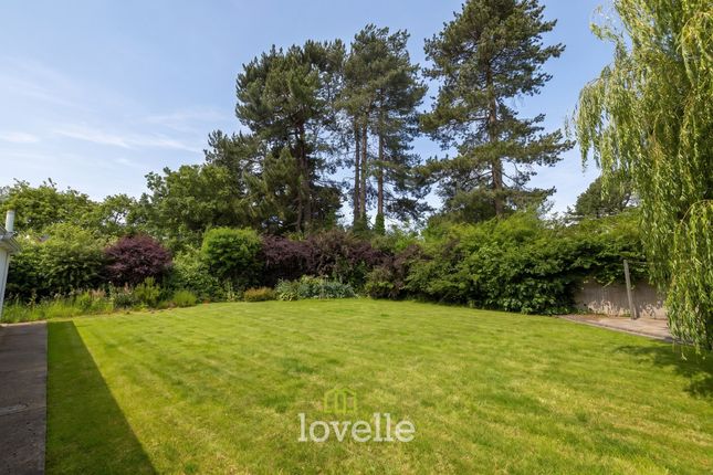 39a, Humberston Avenue, Humberston photo 4