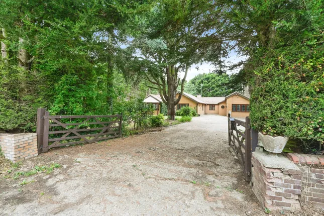 Property 1 of 20. 67054
