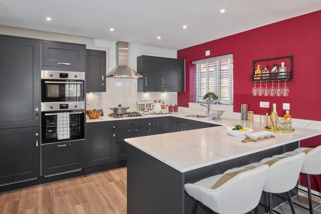 Showhome Photography