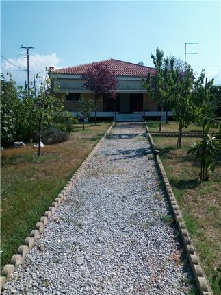 Thumbnail Detached house for sale in Chalki, Larisa, Thessalia, Greece