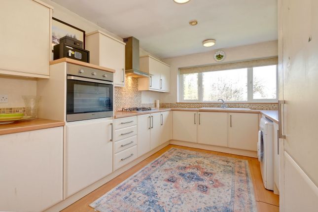 Ben Venuto, Joes Lane, Windmill Hill photo 3