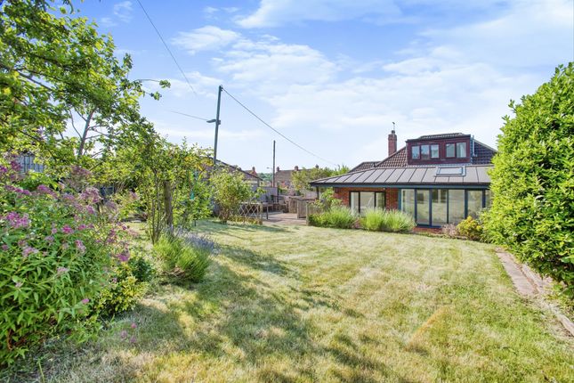 Thumbnail Detached bungalow for sale in Bath Road, Wells