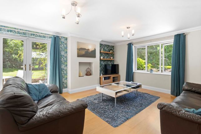 430a, The Ridge, Hastings photo 4