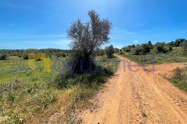 Land for sale in Baiãs, Algoz E Tunes, Silves