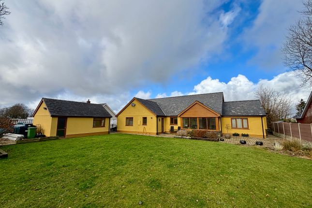 Cae Glas, Llanllwni, Pencader photo 2