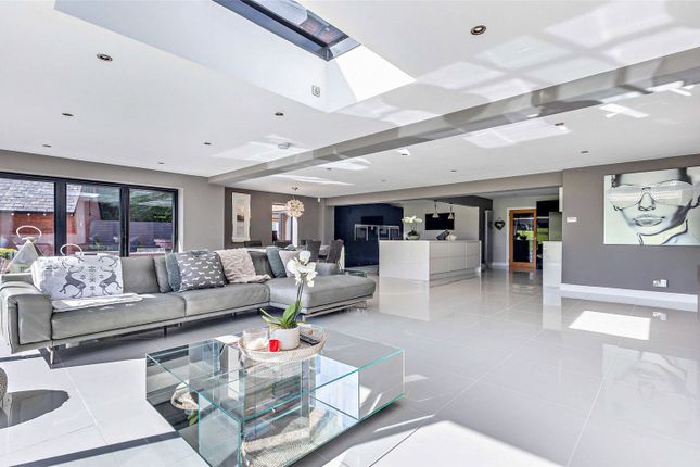 Kitchen/Living/Diner