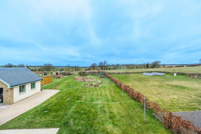 Solas, North Fieldhead Farm, Solas, North Fieldhead Farm, Strathaven photo 3