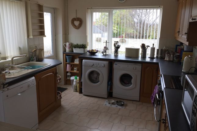 12, Swansea photo 2