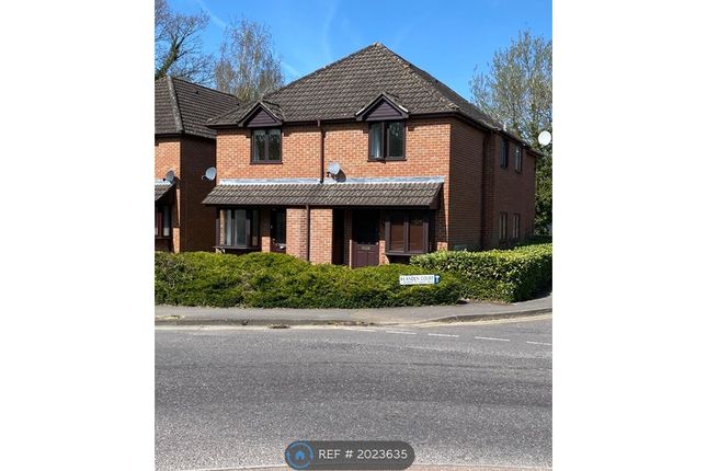 Thumbnail Semi-detached house to rent in Oakview, Wokingham