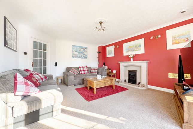 41, Avery Hill, Newton Abbot photo 3