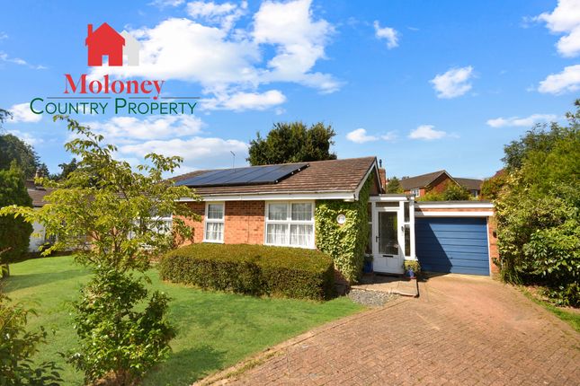 Detached bungalow for sale in North Ridge, Northiam, Rye, East Sussex