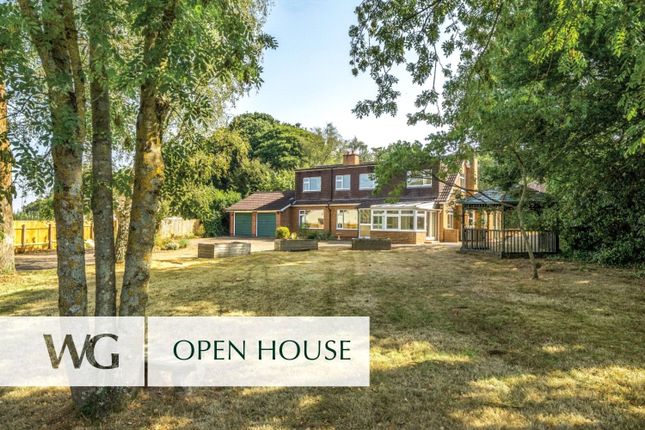 Open House