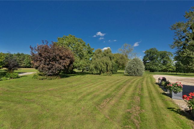 Detached house to rent in Sutton Park, Sutton Green, Guildford, Surrey