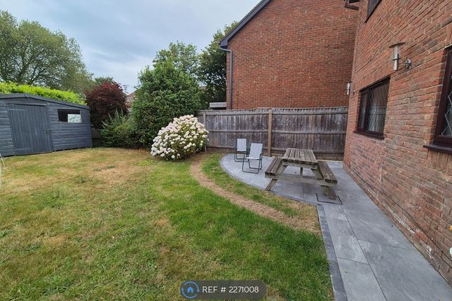 Back Garden