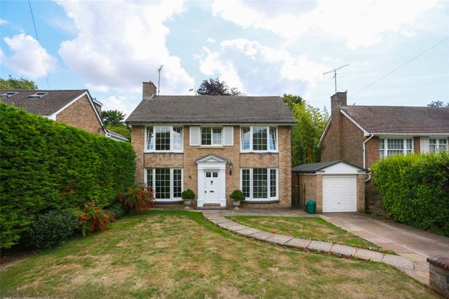 Thumbnail Detached house to rent in Woodland Drive, Hove, East Sussex