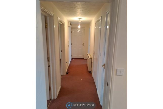 Lords Way, Bridgwater photo 3
