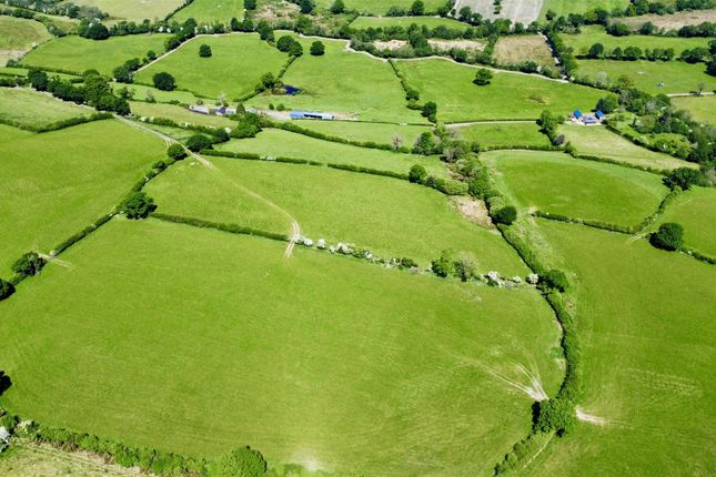 Dji_Fly_20250515_123424_850_1747343748384_Photo_Op