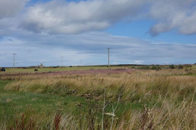 Land for sale in Weydale, Thurso