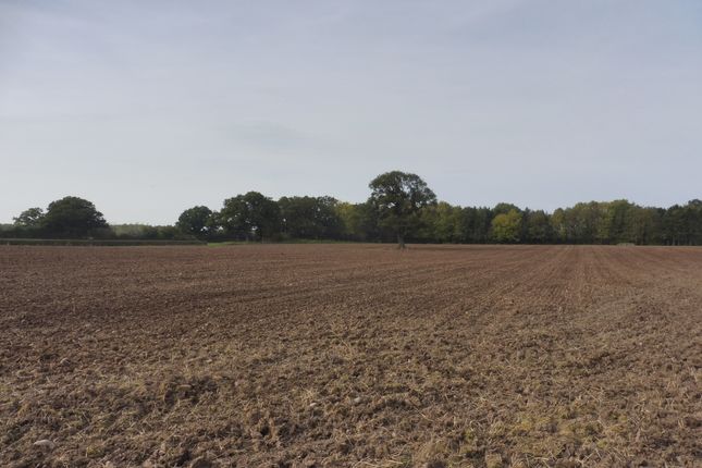 Land for sale in Berry Lane, Upton Warren, Bromsgrove
