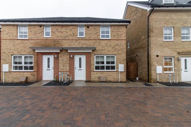 Thumbnail Semi-detached house to rent in Clematis Court, West Meadows, Cramlington