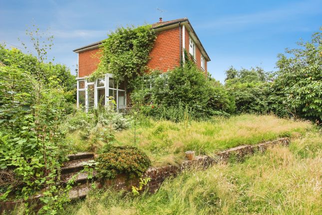 Evergreen Cottage, Mount Pleasant,, Talbot Road, Cranbrook photo 4