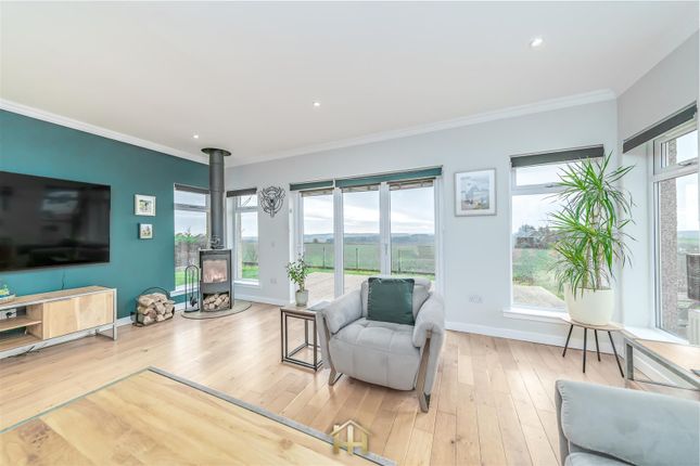 West View, Dundee photo 4