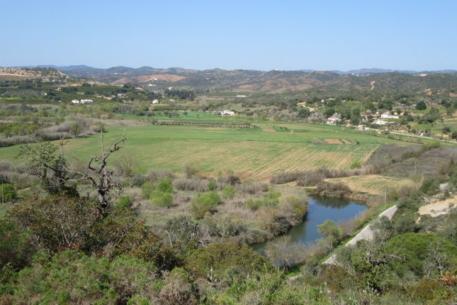 Thumbnail Land for sale in Portugal, Algarve, Tavira