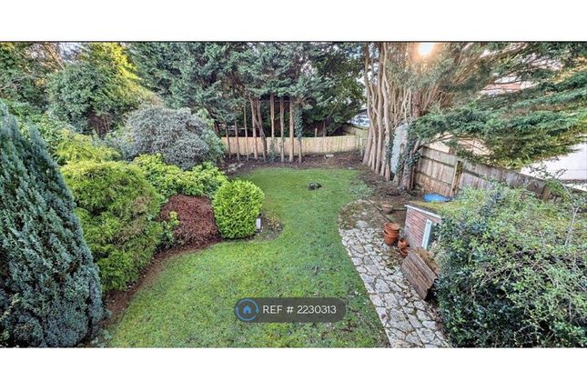 Birchwood Road, Parkstone, Poole photo 3