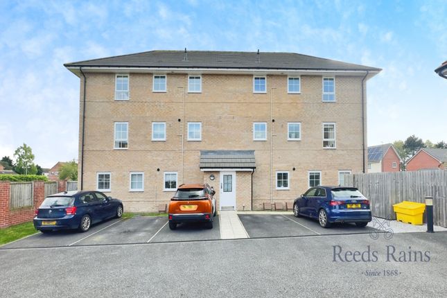 Rear &amp; Parking