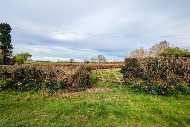 Farm for sale in Allensmore, Hereford