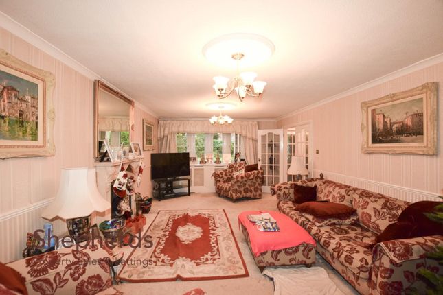 12 Greenbank photo 3