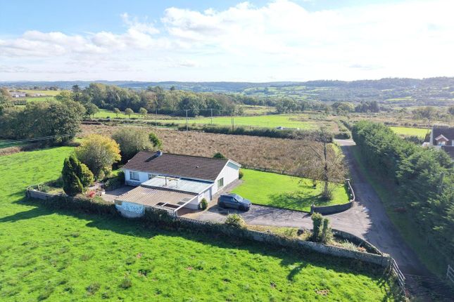 Bromebyd, Llanddarog, Carmarthen photo 3