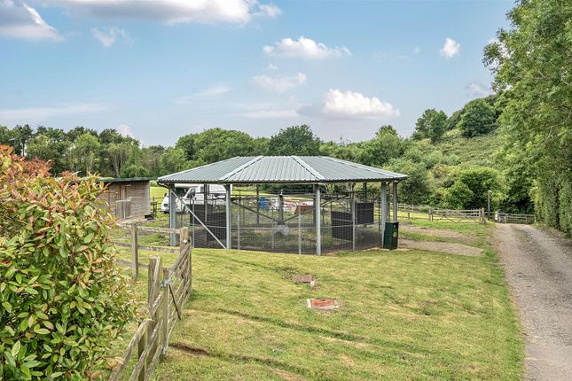 LAKE FARM EQUESTRIAN, Pendell Road, Bletchingley, Redhill photo 3