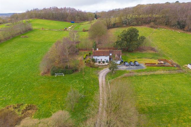 Isabel Mead Farm, Wingate Hill, Canterbury photo 2