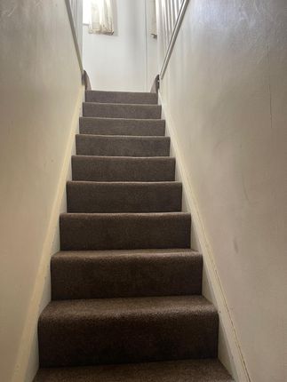 Very Near Brougham Road Area, Acton photo 5